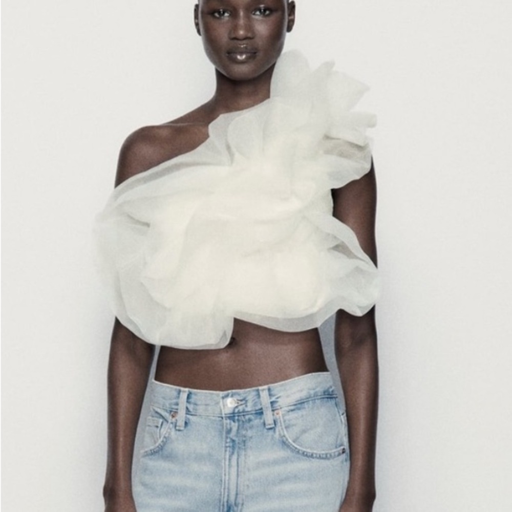 New with tags Zara tulle top